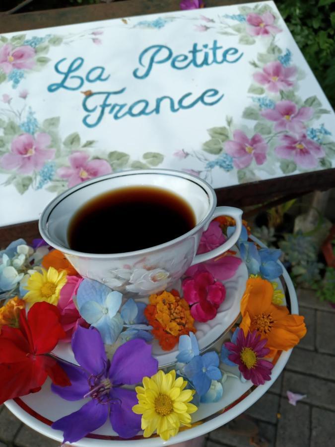 La Petite France 호텔 노바 페트로폴리스 외부 사진